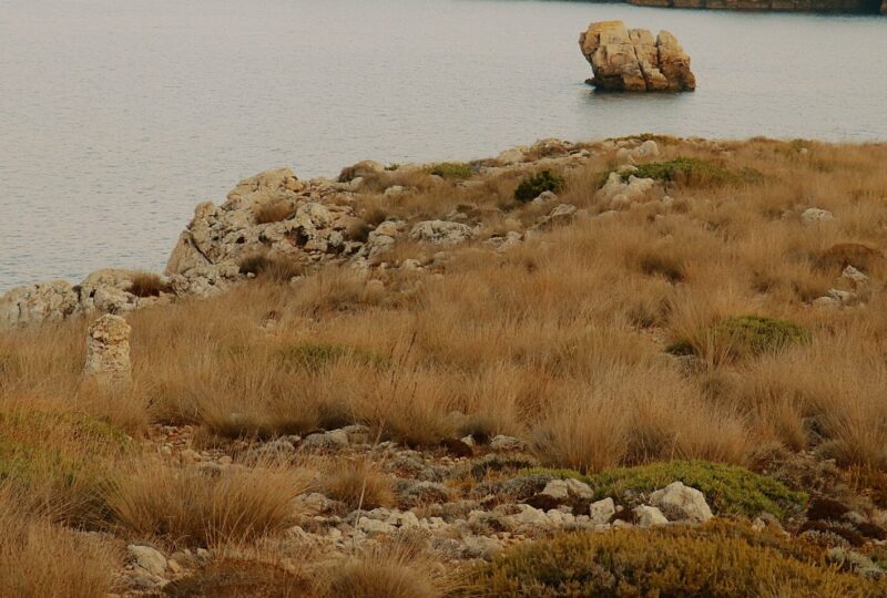 La baie de Fornells, un panorama paisible au nord de Minorque